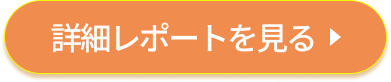 詳細レポートを見る