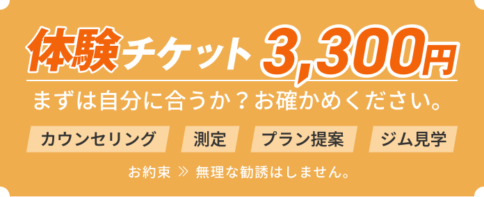 体験チケット3,300円