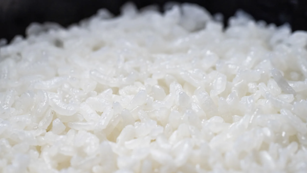 「痩せる炭水化物」完全攻略ガイド